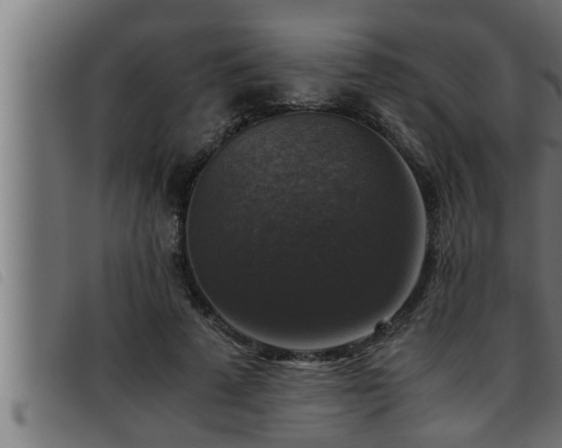 X0000093490689200710121507