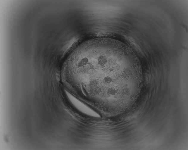X0000093490691200710121507