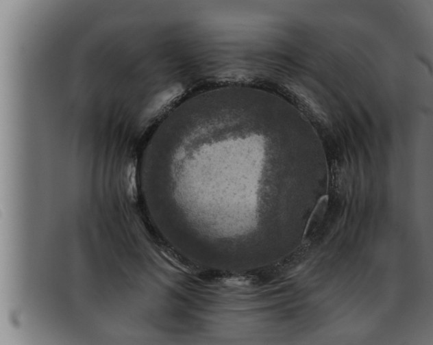 X0000093490692200710121507