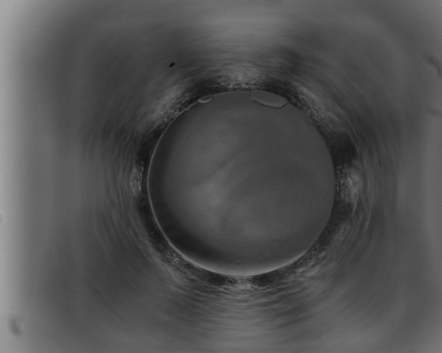 X0000093490695200710121507