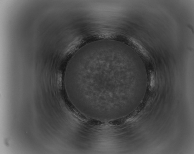 X0000093490696200710121507