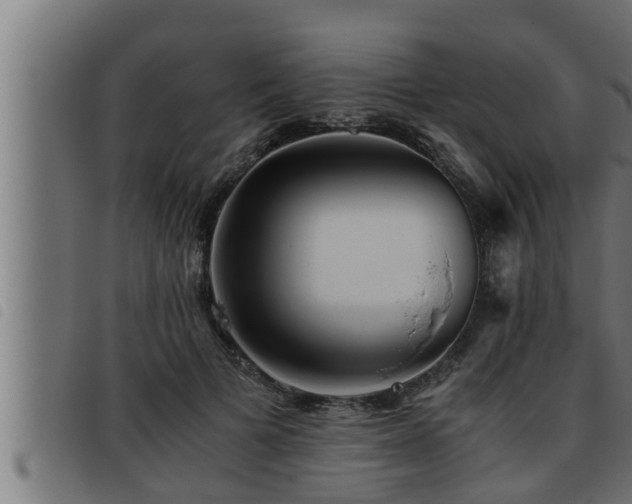 X0000093490697200710121507