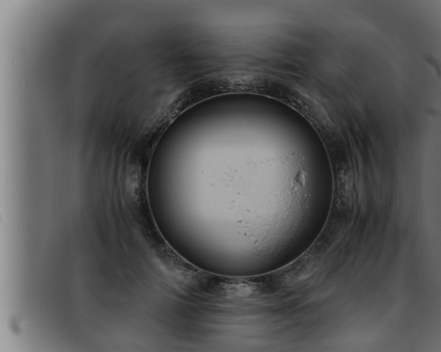 X0000093490698200710121507
