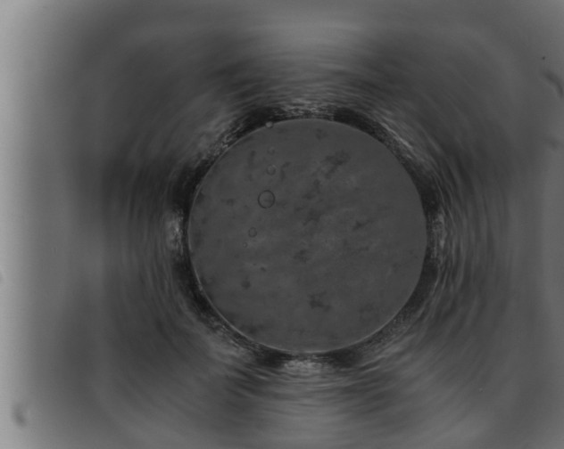 X0000093490699200710121507