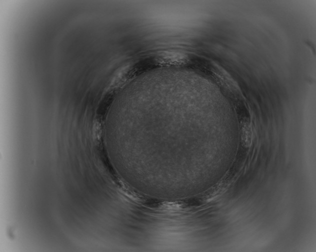 X0000093490701200710121507