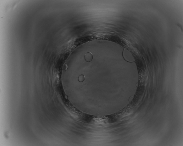 X0000093490703200710121507