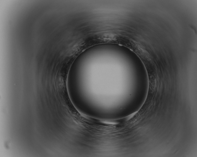 X0000093490704200710121507