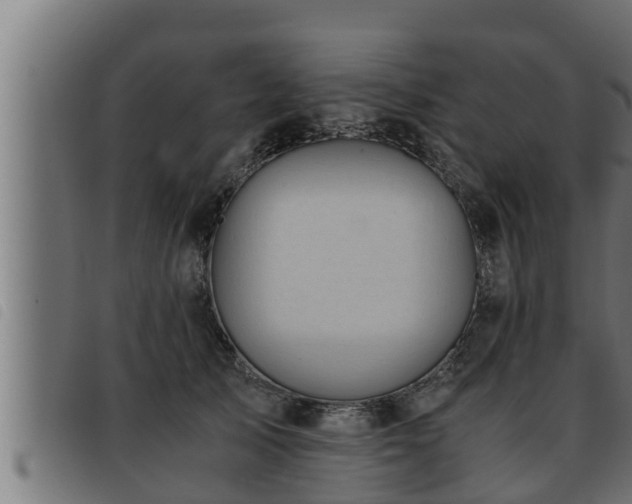 X0000093490705200710121507