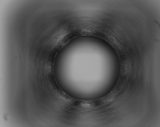 X0000093490706200710121507