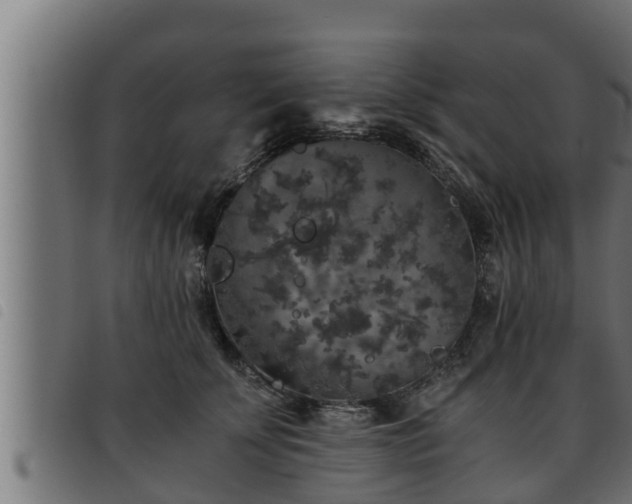 X0000093490707200710121507