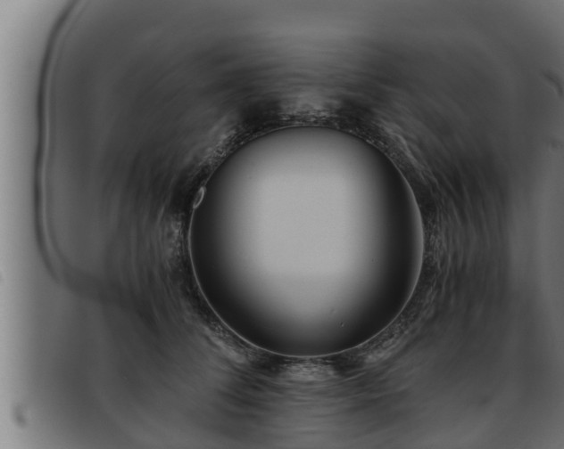 X0000093490708200710121507