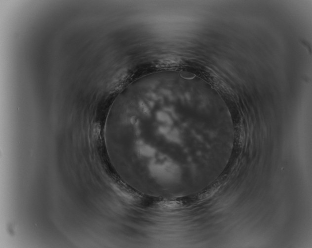 X0000093490711200710121507