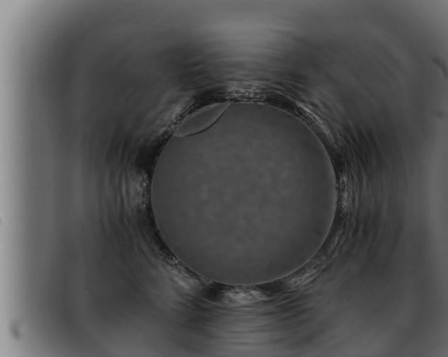 X0000093490712200710121507