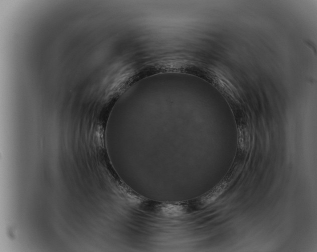 X0000093490718200710121506
