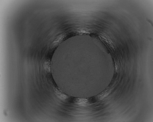 X0000093490719200710121506