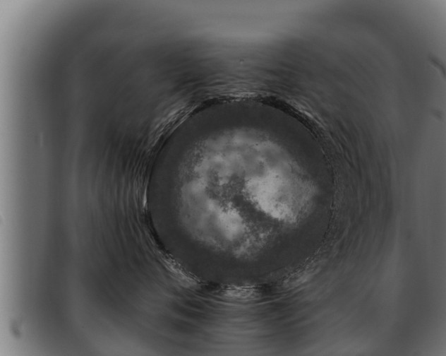 X0000093490720200710121506