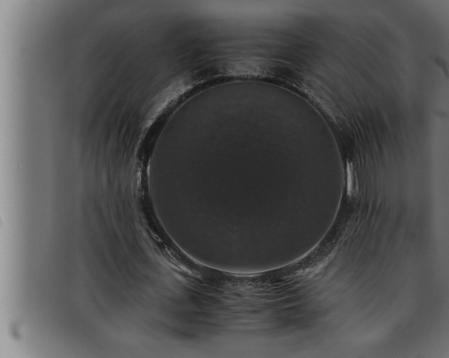 X0000093490723200710121506