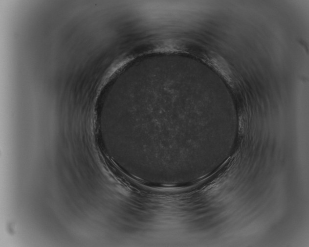 X0000093490724200710121506