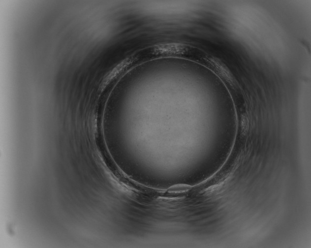 X0000093490725200710121506