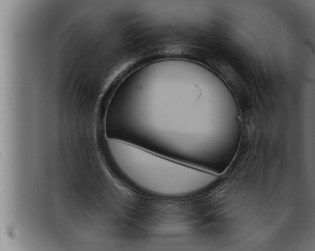 X0000093490728200710121506