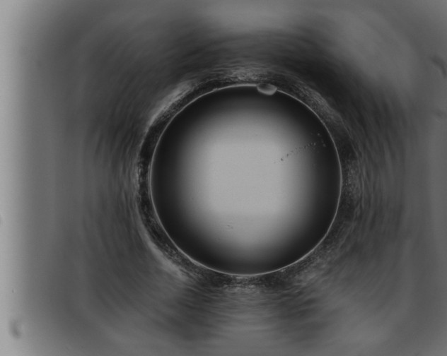 X0000093490730200710121506
