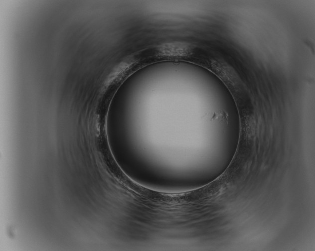 X0000093490731200710121506