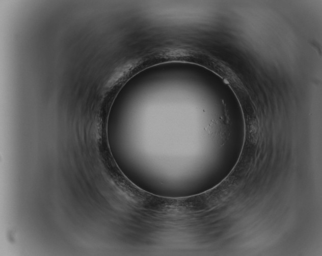 X0000093490732200710121506