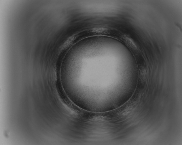 X0000093490734200710121506