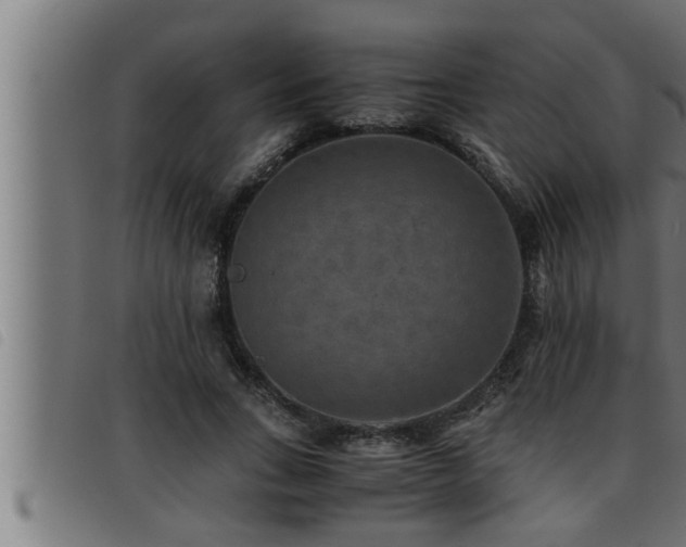 X0000093490735200710121506
