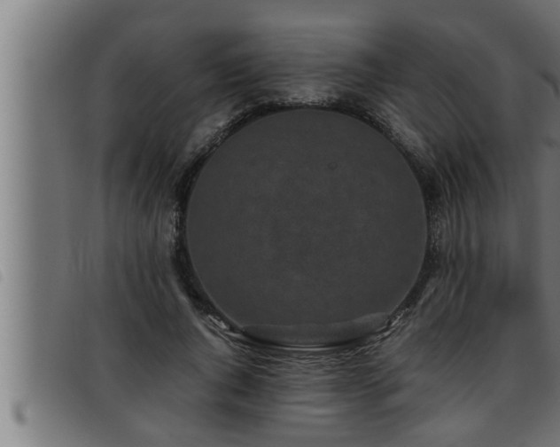 X0000093490736200710121506