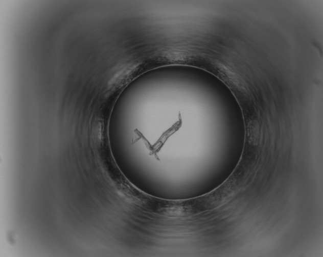 X0000093490740200710121506