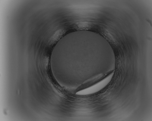 X0000093490742200710121506