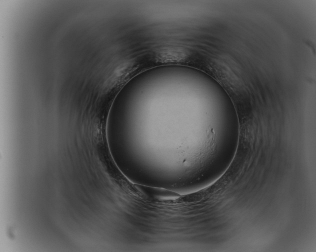 X0000093490743200710121506