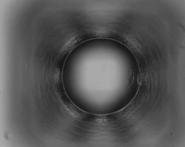 X0000093490744200710121506