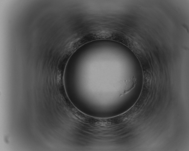 X0000093490745200710121506