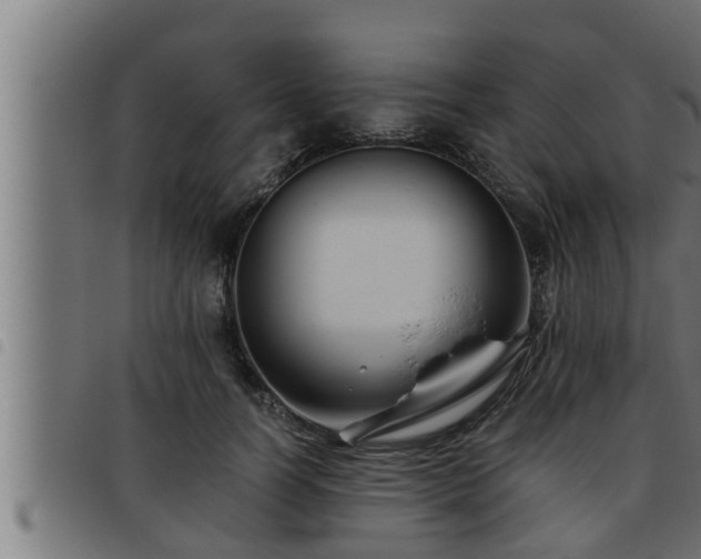 X0000093490746200710121506