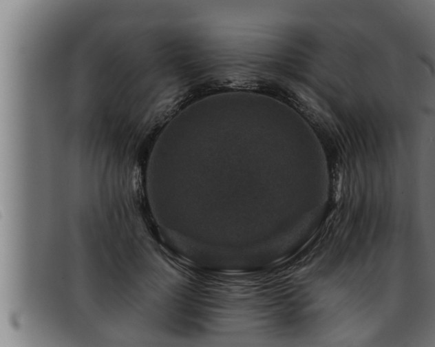 X0000093490748200710121506