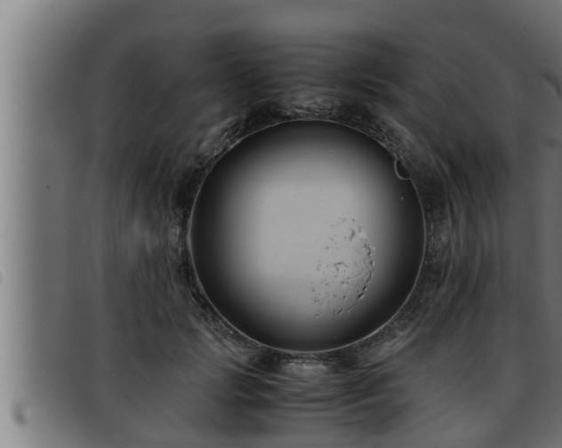 X0000093490749200710121506