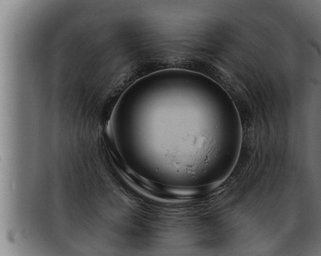 X0000093490750200710121506