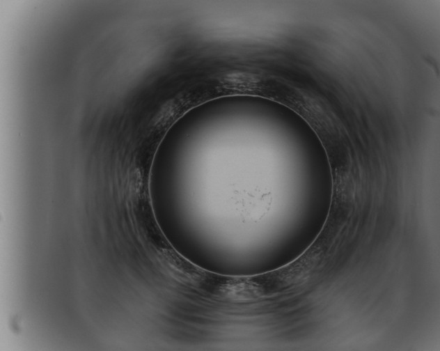 X0000093490752200710121506