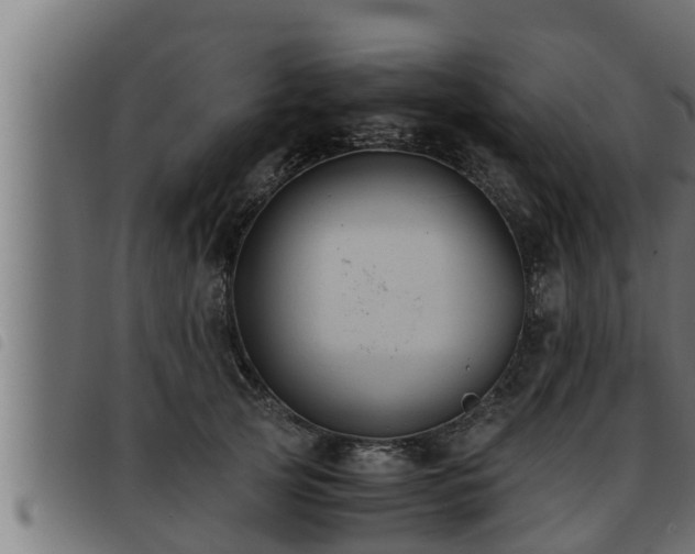 X0000093490753200710121506