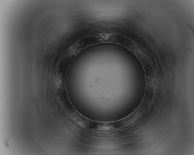X0000093490754200710121506