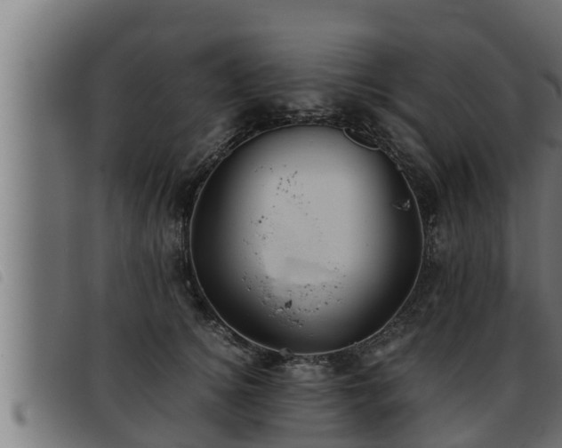 X0000093490756200710121506