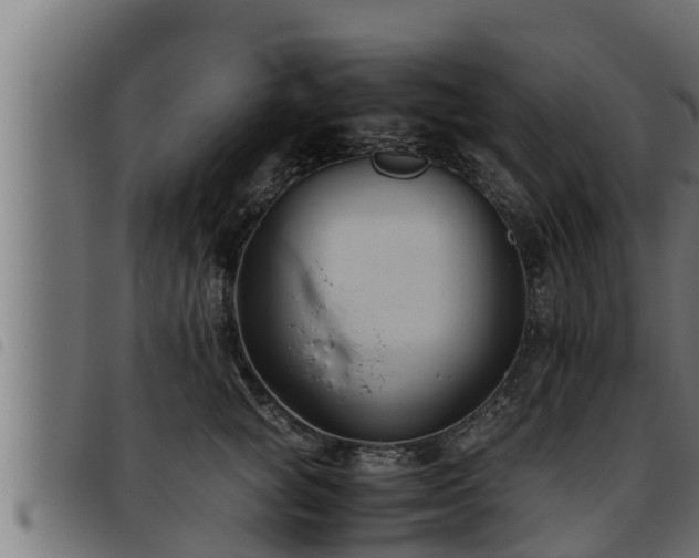X0000093490757200710121506
