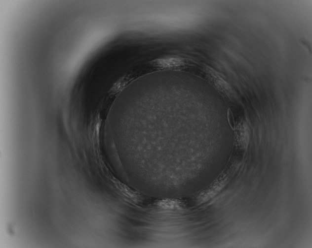 X0000093490762200710121506