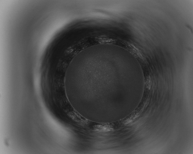 X0000093490763200710121506