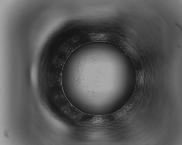 X0000093490764200710121506