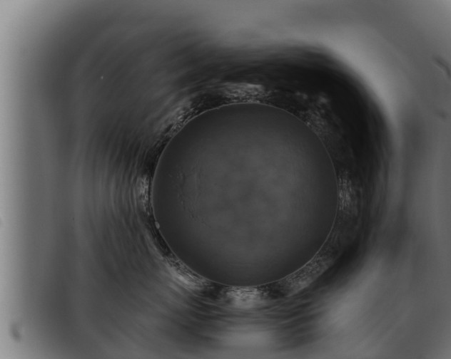 X0000093490767200710121506