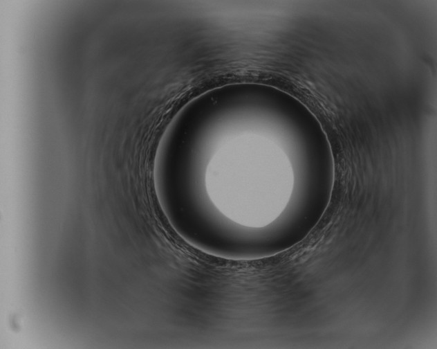 X0000093490769200710121506