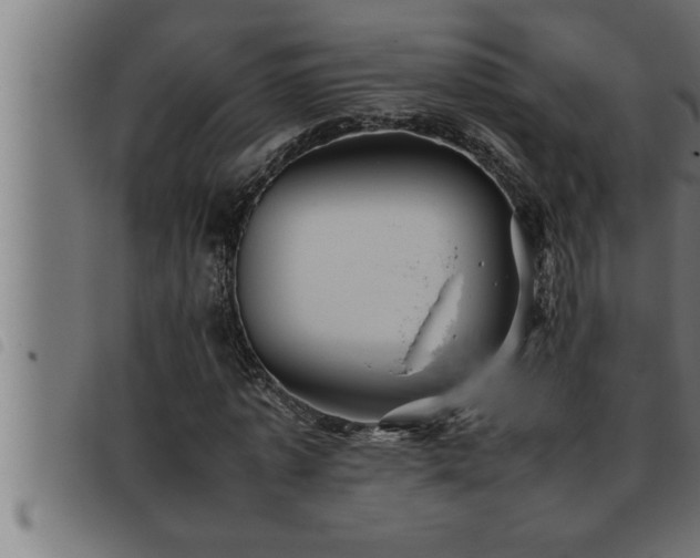 X0000093490773200710121506